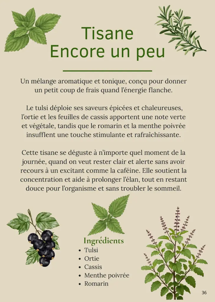 Tisane Fraîcheur d'été