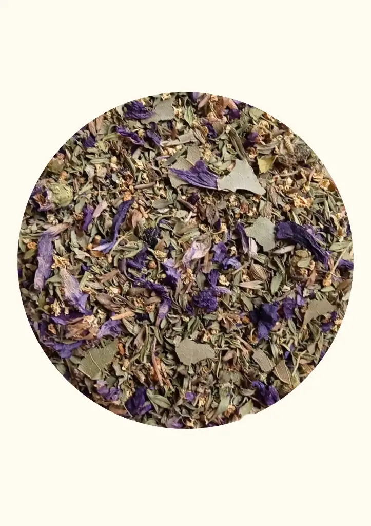 Ebook 2 sept - oct 2025 (8).webp