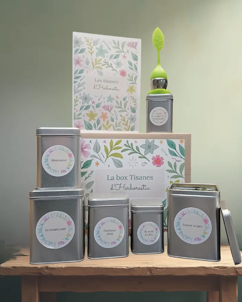 Design sans titre (26).webp