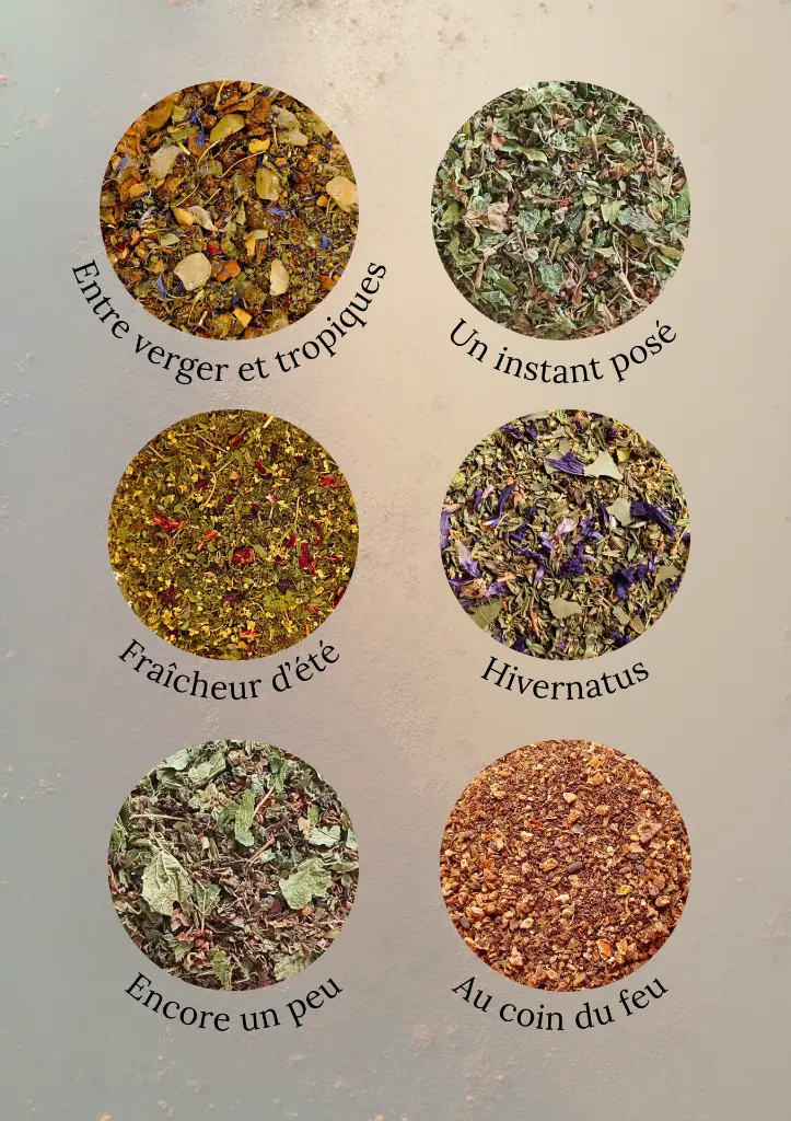 Présentation Hivernatus + Au coin du feu.webp