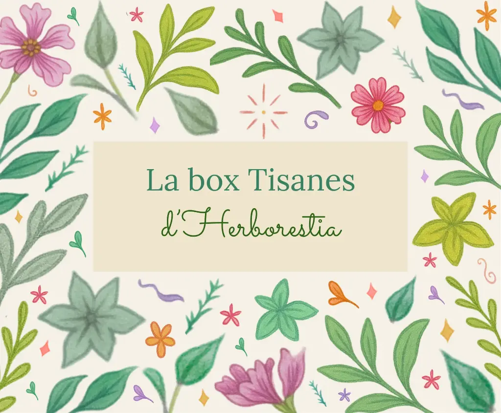La box de 6 tisanes 