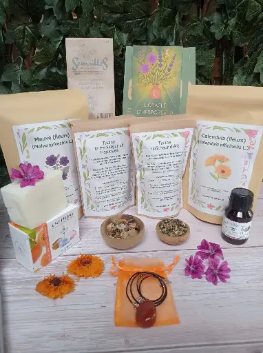 Box d'Herborestia n°1 (juillet-août 2025)  "spéciale été" - EN RUPTURE DE STOCK