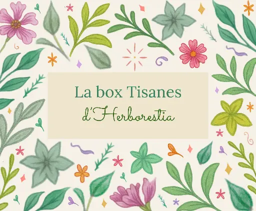 La box de 6 tisanes 